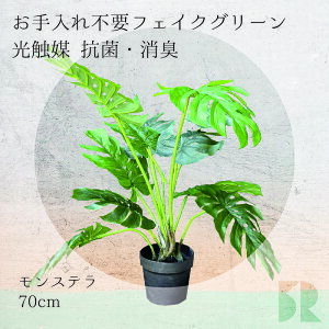 Xe lHϗtA 70cm G} R hL ϗtA  tFCNO[ CeAO[ sv ȒP ͂Ȃ 킩Ȃ A  rO  v[