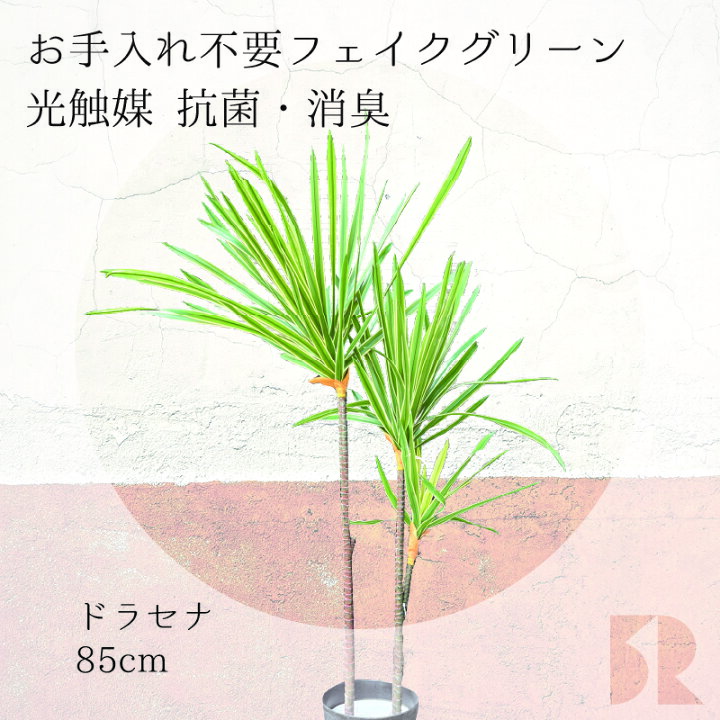 楽天市場】ドラセナ 人工観葉植物 85cm 光触媒 抗菌 防臭 観葉植物 