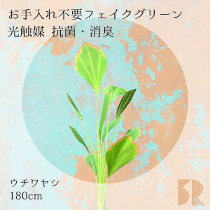 E`V lHϗtA 180cm G} R hL ϗtA  tFCNO[ CeAO[ sv ȒP ͂Ȃ 킩Ȃ A  rO  v[