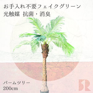 p[c[ V̖ lHϗtA 200cm G} R hL ϗtA  tFCNO[ CeAO[ sv ȒP ͂Ȃ 킩Ȃ A  rO 