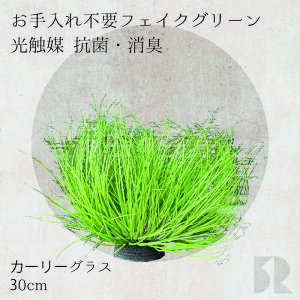 J[[OX JbNX lHϗtA 30cm G} R hL ϗtA  tFCNO[ CeAO[ sv ȒP ͂Ȃ 킩Ȃ A  r