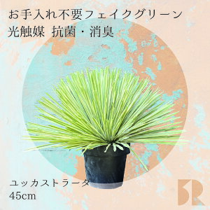 ���b�J���X�g���[�_ �l�H�ϗt�A�� 45cm ���G�} �R�� �h�L �ϗt�A�� ���� �t�F�C�N�O���[�� �C���e���A�O���[�� �����s�v �������ȒP �͂�Ȃ� �����킩�Ȃ� �A�� ������� ���r���O ���� 