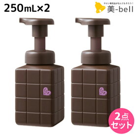 ★最大2,000円OFFクーポン配布中★アリミノ ピース バウンシーカールホイップ 250mL ×2個 セット / 【送料無料】 美容室 サロン専売品 美容院 ヘアケア スタイリング剤 ヘアムース 保湿 カール