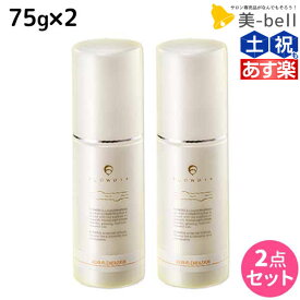 【ポイント3倍以上!24日20時から】デミ フローディア リペアエマルジョン 75g ×2個 セット / 【送料無料】 美容室 サロン専売品 美容院 ヘアケア ホームケア ボリューム ツヤ ダメージ 保湿