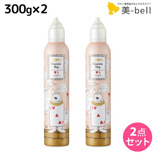 f~ EF[{ WJ[ LCNzCbv3 300g ×2 Zbg / yz Tꔄi e@ wAPA X^CO [X demi f~ e ߕi