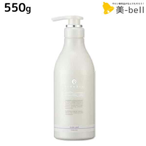 y12/1|Cg3{zf~ t[fBA g[gg X[NCg 550g / yz e Tꔄi e@ wAPA z[PA {[ c _[W ێ