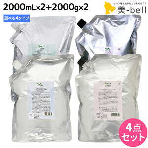 y11/25|Cg3{ȏzf~ g Vv[ 2000mL ×2 + g[gg 2000g ×2 lߑւ IׂZbg / yz 2L 2kg Ɩp Tꔄi e@ wAPA demi GCWO