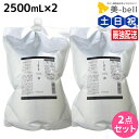 【ポイント3倍!10日0時から】ルベル イオ セラム クレンジング（シャンプー） 2500mL × 2個セット / 【送料無料】 詰め替え 美容室 サロン専売品 美容院 ヘアケア ルベル セット おすすめ タカラベルモント lebel くせ毛