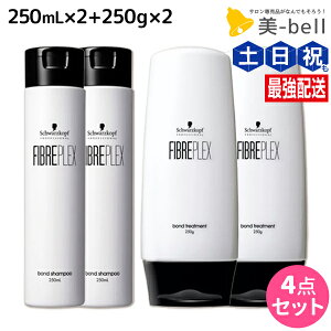 y|Cg3-10{!320zVcRt t@Co[vbNX {h Vv[ 250mL ×2 + g[gg 250g ×2 Zbg / yz e Tꔄi e@ wAPA w