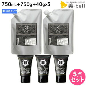 y12/1|Cg3{zgx[l fB[vC[ Vv[ 750mL + g[gg 750g lߑւ + H 40g ×3 sExGEExSt IׂZbg / yz DeepLayer r[eB[GNXy