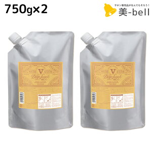モルトベーネ ディープレイヤー トリートメント ExV(エクストラ ベルベッティ) 750g 詰め替え ×2個 セット / 【送料無料】 b-ex 美容室専売品 サロン専売 ヘアケア シャンプー ダメージケア