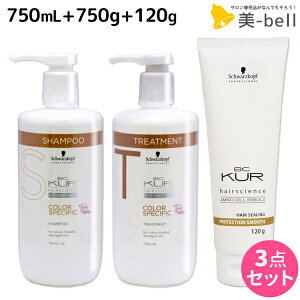 シュワルツコフ BCクア カラースペシフィーク シャンプー a 750mL + トリートメント a 750g + プロテクションスムース a 120g セット / 【送料無料】 美容室 サロン専売品 美容院 ヘアケア schwarzkopf