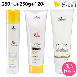 シュワルツコフ BCクア カラーセーブ シャンプー a 250mL + トリートメント a 250g + プロテクションスムース a 120g セット / 【送料無料】 美容室 サロン専売品 美容院 ヘアケア schwarzkopf シュワル