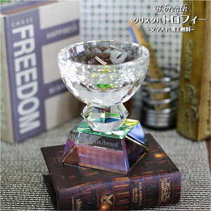 Dt gtB[ trophy ECi[YJbv DJbv LO StRy X|[c LOi IWigtB[ Ƃӂ[  y S}[NOKz|CgA