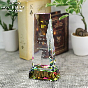 gtB[  Vv eLO Ƃւ̑蕨 StRy X|[c LOi IWigtB[ trophy Ƃӂ[  yS}[NOKz|CgAbv