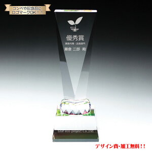 trophy gtB[ TbJ[ o[ St oXPbg{[ 싅 Ƃӂ[  y|CgAbvՁz