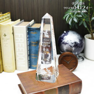 trophy gtB[ TbJ[ o[ St oXPbg{[ 싅 Ƃӂ[   |CgAbv