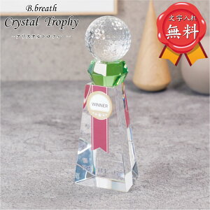 {[^Cv Jbg   LOgtB[ IWi 󖳗 NGCeBuNX^g NX^gtB[ JX^}CY ACfA _u v[g Ə \ 