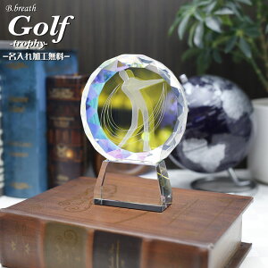 St gtB[ Jbv StgtB[ gtB[St StRy IWi G[WV[g  gtB[ trophy Ƃӂ[ GCWV[g age shoot |CgAbv