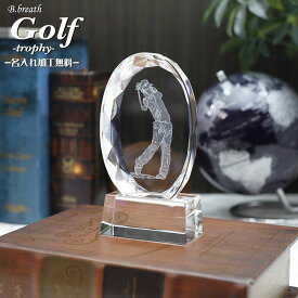 ホールインワン記念 golf オリジナルモニュメント トロフィー ゴルフ 優勝カップ 盾 エージシュート trophy とろふぃー エイジシュート age shoot【名入れ】父の日 ポイントアップ祭