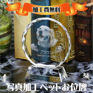 A ybg ʔv 2Dʐ^ e d _  茳{ NX^ʔv ybgʔv ybg{ q{ {  L  A I[vd  y