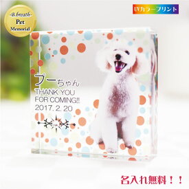 ペット位牌 メモリアル pet Memorial 位牌 クリスタル 写真 カラー印刷 誕生石 スワロフスキー フォト 遺影 仏具 供養 ペットメモリアル 手元供養 仏壇 49日 虹の橋 思い出 名入れ ダイヤ かわいい キラキラ きれい 犬 猫 うさぎ インコ 小動物