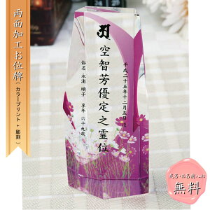 J[vg ʔv vwʔv 茳{ ؂₩   A IWi NX^ʔv q{ 49@v _ qʔv @ @ @ ͂ ihai  |C