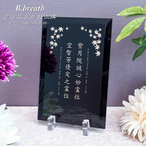 ~[V[gH ʔv vwʔv 茳{ ؂₩   A IWi NX^ʔv q{ 49@v _ qʔv @ @ @  ͂ ihai 