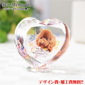 ybgʔvyUVJ[vgzybg ʔv ʐ^vg e d _  茳{ NX^ʔv vg {  L  A ʐ^H  ͂ I[vd 
