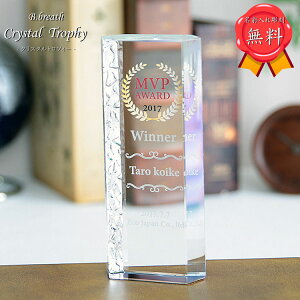【UVカラー印刷】トロフィー 優勝カップ トロフィー ウイナーズカップ 大会記念 ゴルフコンペ 記念品 オリジナルトロフィー プリント無料 ポイントアップ祭
