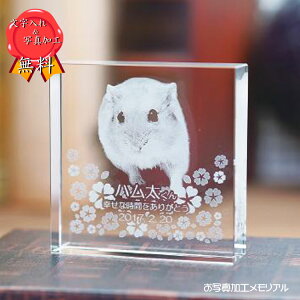 ybgʔv 茳{ ʔv  L ybg ʐ^H IWi I[_[Ch |CgAbv