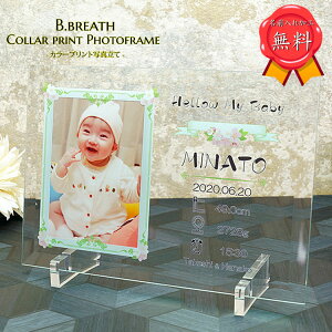 IWi oYj O ʐ^  a LOi 蕨 j ސELO җj  LO tHgt[ ߋ