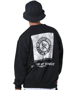 STYLEKEY(�X�^�C���L�[) �N���[�X�E�F�b�g GRAPHISTORY CREW SWEAT(SK24FW-SWC03) ���S ���m�O���� �O���t�B�b�N �O���t�B�e�B�[ ���j �V���v�� �{�b�N�X �T�[�N�� �o�b�N�v�����g �g���[�i�[ �����Y �t�@