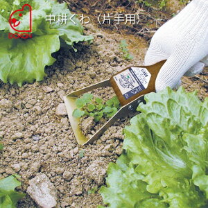 yɑ hEJ kiЎpjDS-030 ( _ K[fjOG    K[fjO G  芙 G   |pi K[fjOpi   G