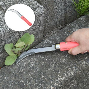 4̐n 芙 4way SV-7244 ( _ ֗ ObY K[fjOG    K[fjO G  芙 G   K[fjOpi   G