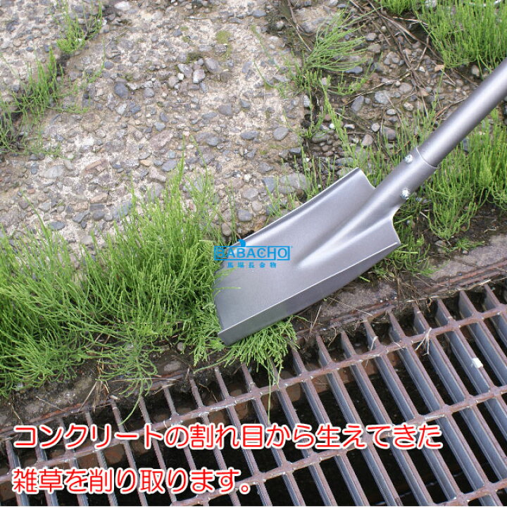 楽天市場 草刈りスコ Fss 1 草取り 道具 草刈り 芝生 鍬 花壇 草刈 グッズ ガーデニング 便利グッズ 雑草抜き 手入れ 雑草 草むしり 雑草取り 家庭用 園芸用品 庭 草取り器 雑貨 セレクト 農機具 家庭菜園 除草 農具 ガーデニング用具 工具 農業 農作業 ガーデン 楽天市場 草刈りスコ Fss 1 草取り 道具 草刈り 芝生 鍬 花壇 草刈 グッズ ガーデニング 便利グッズ 雑草抜き 手入れ 雑草 草むしり 雑草取り 家庭用 園芸用品 庭 草取り器 雑貨 セレクト 農機具 家庭菜園 除草 農具 ガーデニング用具 工具 農業 農作業 ガーデン