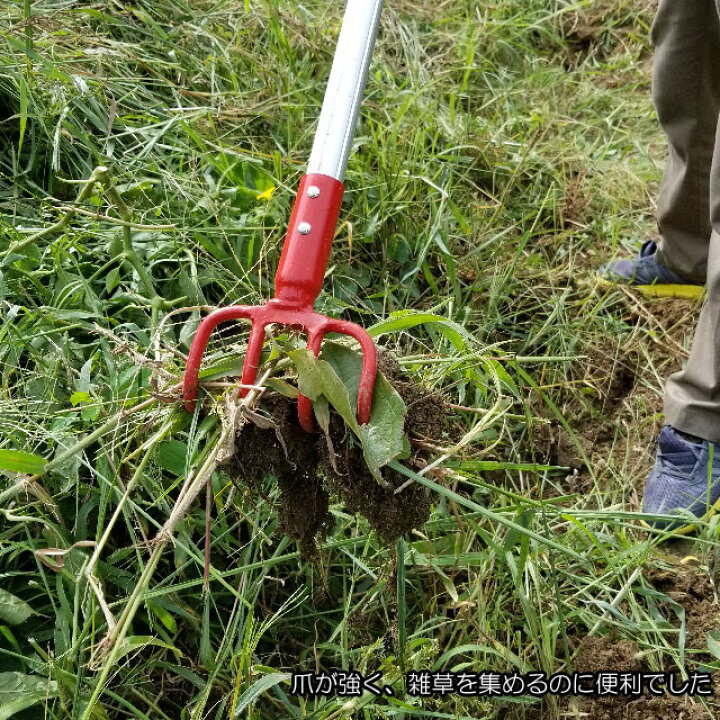 楽天市場 強力型 4本爪 雑草クマデ 伸縮型 農作業 便利 グッズ 雑貨 ガーデニング ガーデン 園芸用品 立ったまま 草抜き 雑草抜き 園芸 用品 草 雑草取り 雑草 雑貨 家庭菜園 くまで 除草 草削り 草かきホー 草切り 熊手 草取り 道具 土農工具