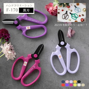 2025H~J[ǉ ⌹ nhNG[Vn F-170 i sakagen { O O ͂ ԉ v ͂Ȃ K[fjO   킢  Ԃ΂   | 