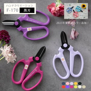 10/9܂Ń|Cg5{ ⌹ nhNG[Vn F-170 i sakagen { O O ͂ ԉ v ͂Ȃ K[fjO   킢  Ԃ΂   | }