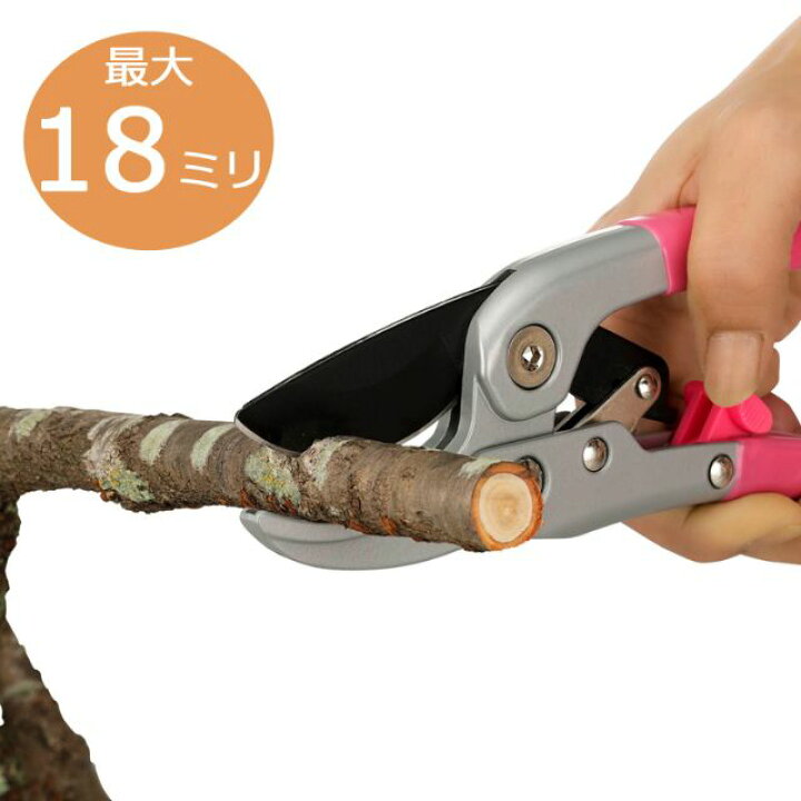 楽天市場 4段ラチェット式 スムーズ剪定鋏 Sv 6773 グッズ ガーデニング雑貨 はさみ ガーデニング 花鋏 花ばさみ ガーデン 園芸用品 ハサミ 母の日 ギフト 園芸 雑貨 切り 剪定ばさみ 花 枝切りハサミ 花ハサミ 生け花 剪定ハサミ 剪定はさみ 剪定バサミ 園芸ハサミ 枝