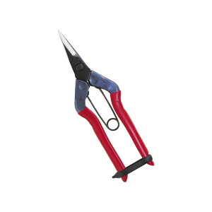 �`�J�}�T �E���� T-500�i���n�΂���