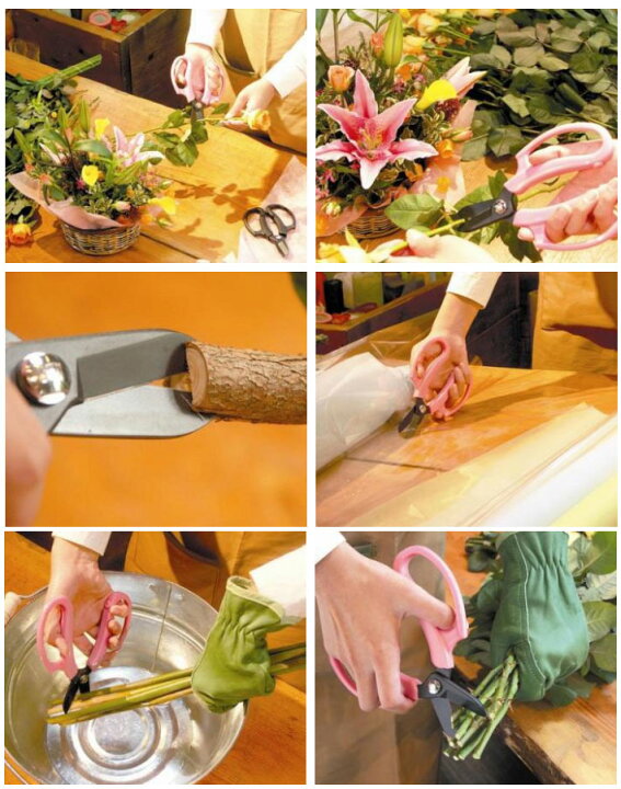 楽天市場 花はさみ フルール Fp17 剪定ばさみ ガーデニング 剪定はさみ 剪定ハサミ 花ハサミ 剪定バサミ 枝きり 盆栽 生花用 花鋏 園芸 用品 用具 剪定用 ガーデン 雑貨 園芸ハサミ 剪定 ガーデン用品 資材 グッズ 庭 ｂ ｂセレクト楽天市場店