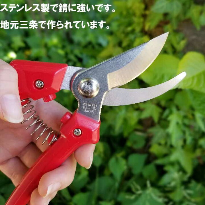 楽天市場 大感謝祭 ポイント2倍 ステンレス剪定鋏 Lf 1 剪定ばさみ ガーデニング 剪定はさみ 剪定ハサミ 花ハサミ 剪定バサミ 枝きり 盆栽 生花用 花鋏 園芸 用品 用具 剪定用 ガーデン 雑貨 園芸ハサミ 剪定 ガーデン用品 資材 グッズ 庭 枝切りバサミ 送料無料