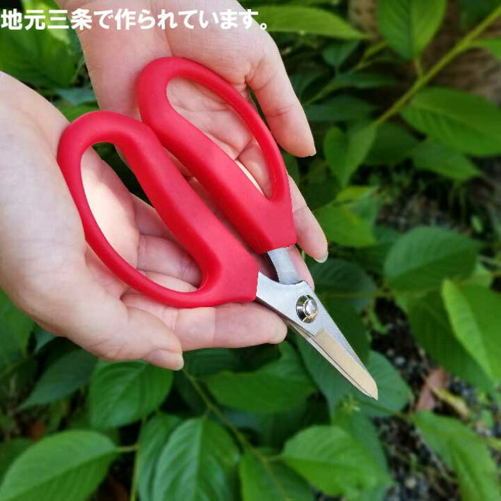 楽天市場 長刃大久保鋏 Bh 2 剪定ばさみ ガーデニング 剪定はさみ 剪定ハサミ 花ハサミ 剪定バサミ 枝きり 盆栽 生花用 花鋏 園芸 用品 用具 剪定用 ガーデン 雑貨 園芸ハサミ 剪定 ガーデン用品 資材 グッズ 庭 ｂ ｂセレクト楽天市場店