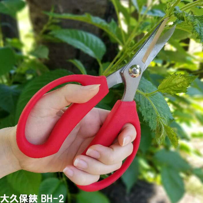 長刃大久保鋏 Bh 2 剪定ばさみ ガーデニング 剪定はさみ 剪定ハサミ 花ハサミ 剪定バサミ 枝きり 盆栽 生花用 花鋏 園芸 用品 用具 剪定用 ガーデン 雑貨 園芸ハサミ 剪定 ガーデン用品 資材 グッズ 庭 の商品詳細 日本 アメリカのオークション 通販ショッピングの