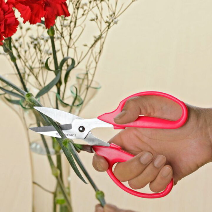 楽天市場 園芸用鋏 花ばさみ2点セット Sv 6421 4922 剪定はさみ 剪定バサミ 枝きり 切り 花鋏 園芸用品 雑貨 園芸 ガーデニング用品 ハサミ はさみ 枝きりばさみ 枝切り鋏 枝切りハサミ 枝切りバサミ 植木鋏 植木 花ばさみ 園芸はさみ 剪定 ｂ ｂセレクト楽天市場店