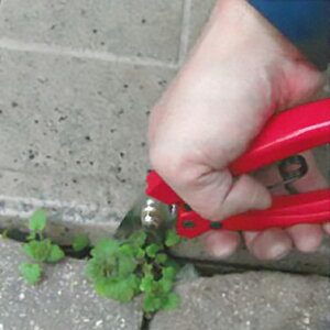 @  Ђ[ NO.606 ( gn { _ ֗ ObY G K[fjO K[f |pi  G | pi  G G Ђ  ƒ؉  