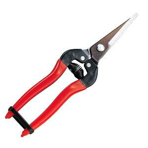 �A���X�E����L 300L-BP�i���n�΂���