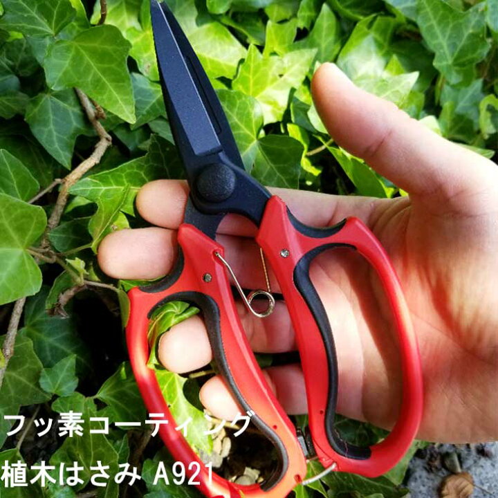 楽天市場 大感謝祭 ポイント2倍 フッ素コーティング植木はさみ 21 剪定ばさみ ガーデニング 剪定はさみ 剪定ハサミ 剪定ばさみ 花ハサミ 剪定バサミ 枝きり 盆栽 生花用 花鋏 園芸 用品 用具 剪定用 ガーデン 雑貨 園芸ハサミ 剪定 ガーデン用品 資材 グッズ 庭 ｂ