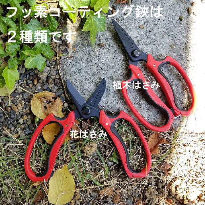 楽天市場 大感謝祭 ポイント2倍 フッ素コーティング花はさみ 22 剪定ばさみ ガーデニング 剪定はさみ 剪定ハサミ 花ハサミ 剪定バサミ 枝きり 盆栽 生花用 花鋏 園芸 用品 用具 剪定用 ガーデン 雑貨 園芸ハサミ 剪定 ガーデン用品 資材 グッズ 庭 ｂ ｂセレクト